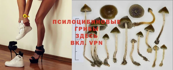 каннабис Аркадак