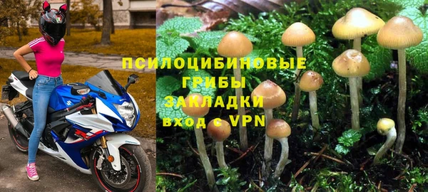 прущая мука Арсеньев